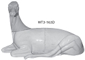 WT3-163D